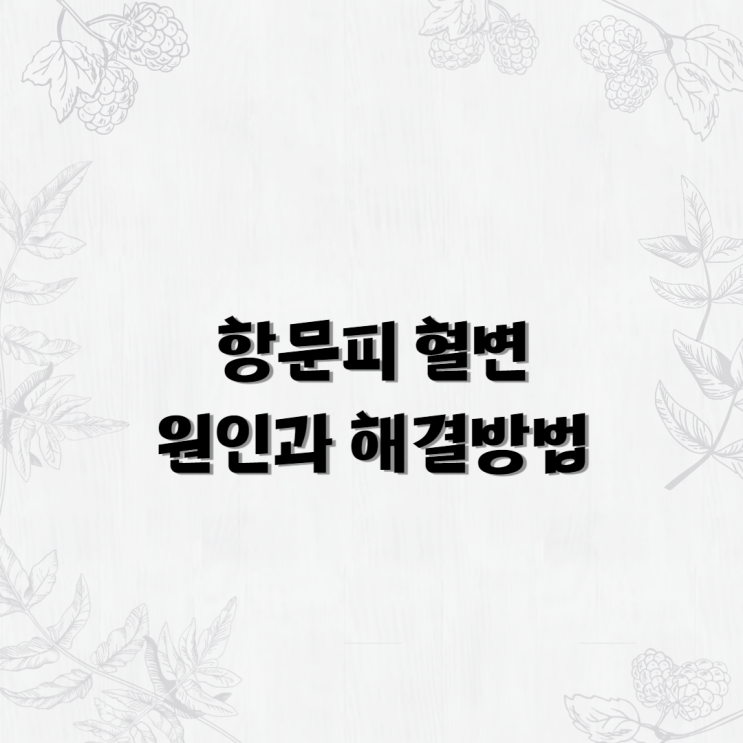  항문피 혈변 원인과 해결 방법! 가만히 계시지 마세요
