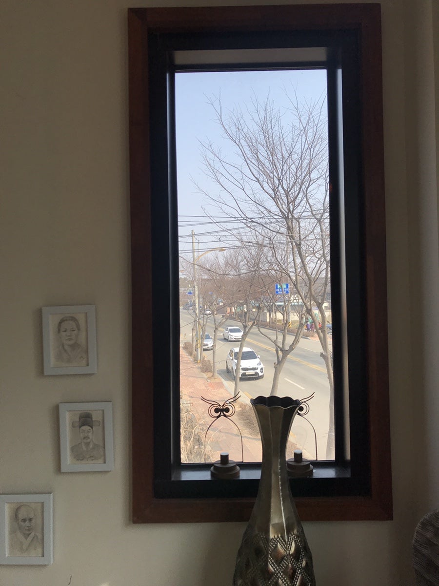 녹색꽃향기 사진 5