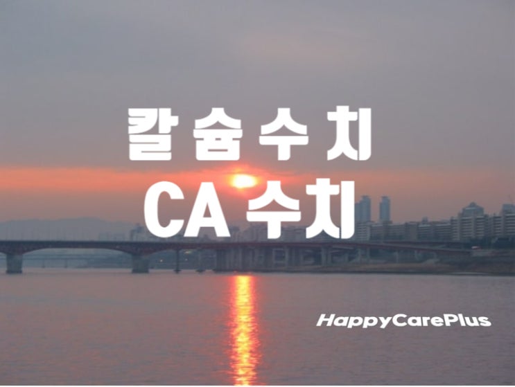 칼슘 수치(ca수치)