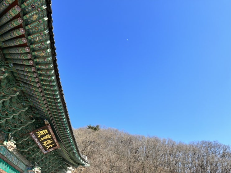  [경기도 광주] 부처님 진신사리가 있는 남한산성 망월사 풍경(feat.댕댕이)