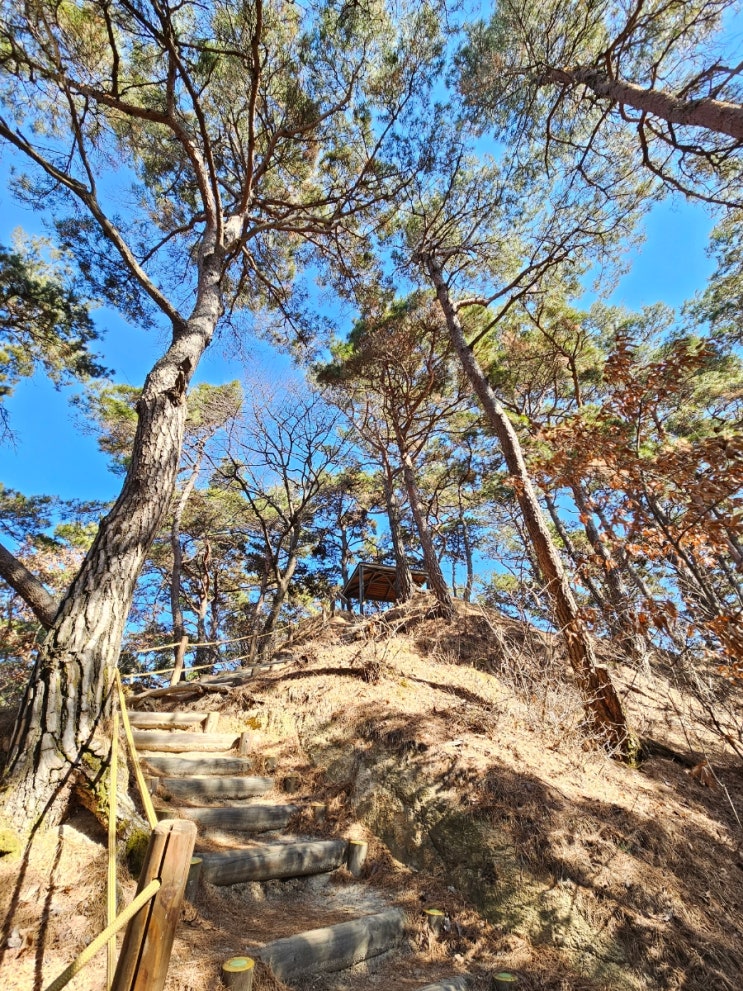  남원 덕음봉, 덕음정을 지나 솔바람길을 따라 애기봉까지 오르다