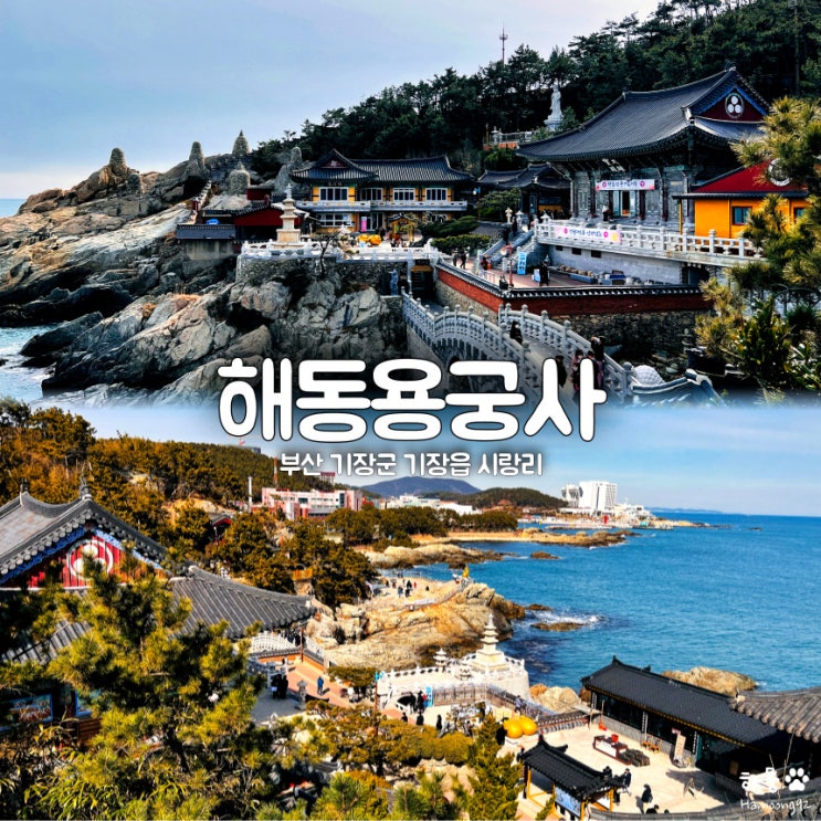  부산 기장군 해동용궁사 방문후기 및 주차비용, 입장료