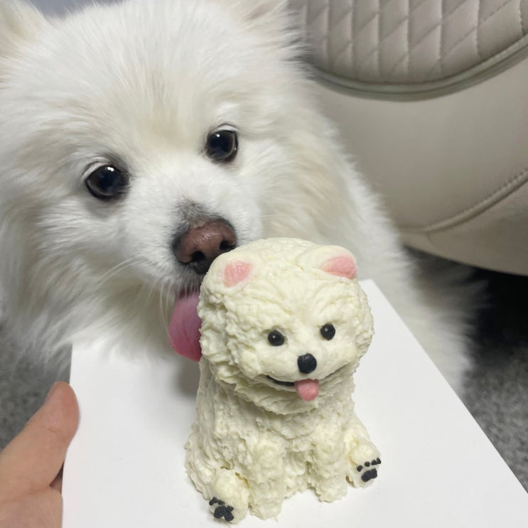  수제 간식도 이제 리얼 시대 - 댕키포키 강아지 입체 케이크로 진행시켜