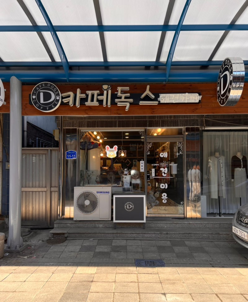 철원동송애견미용 카페독스