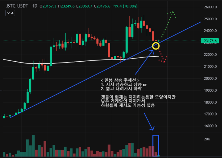 230226 비트코인 차트 체크