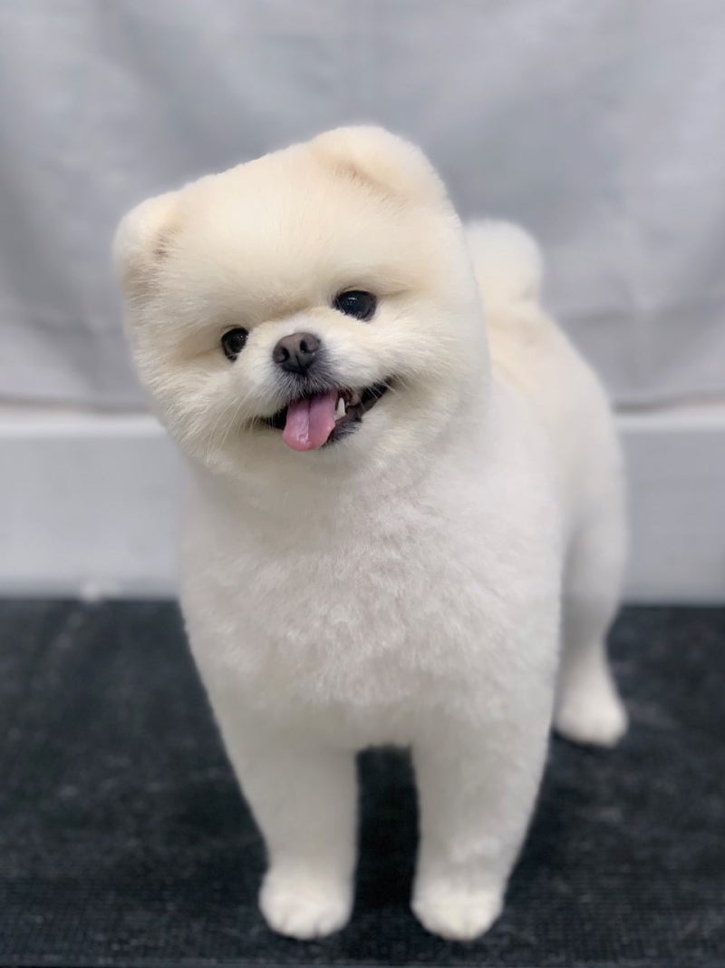 사진 4
