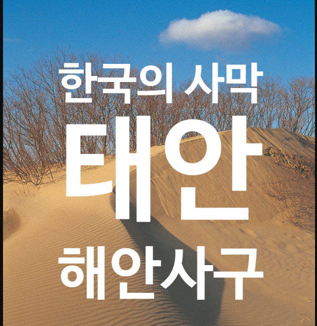 1박 2일 시즌 4 태안 한국 사막 신두리 해안사구 여행 정보