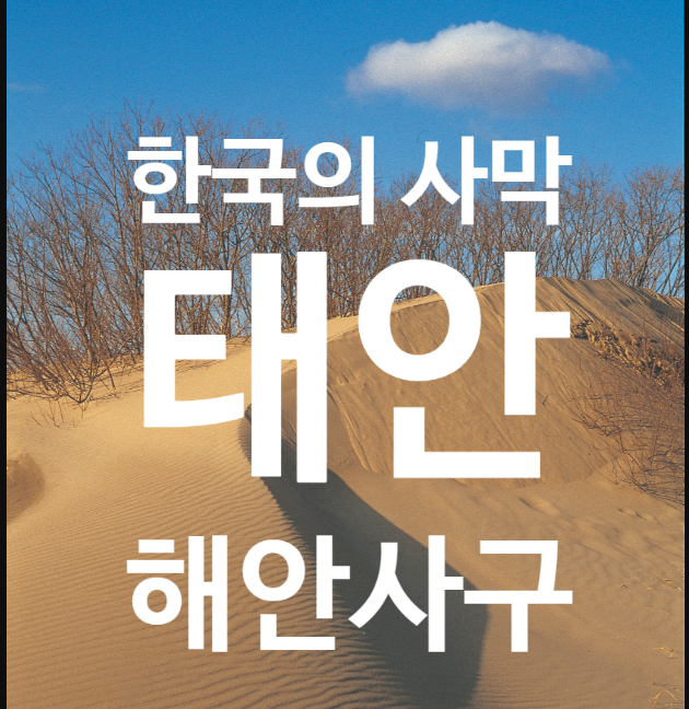  1박 2일 시즌 4 태안 한국 사막 신두리 해안사구 여행 정보