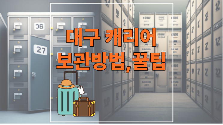  대구 캐리어 보관 방법:직접 해보고 추천하는 꿀팁