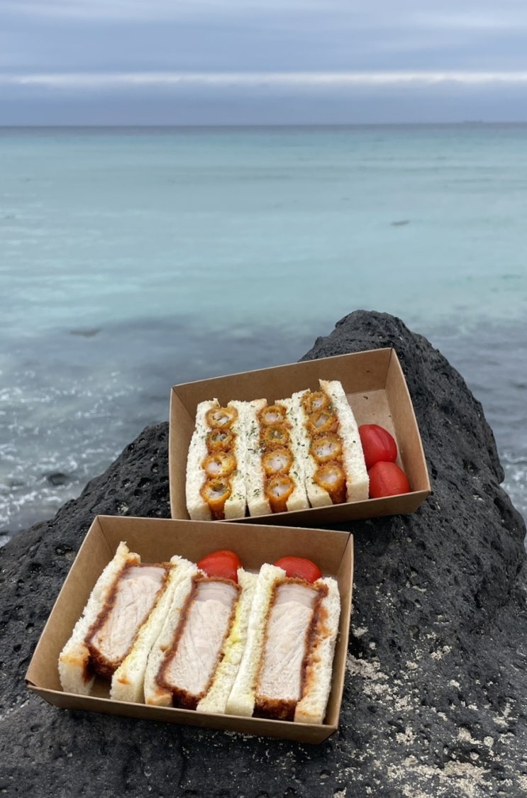 [제주/조천읍] 제주 함덕 맛집 흑돼지가츠샌드 도로록