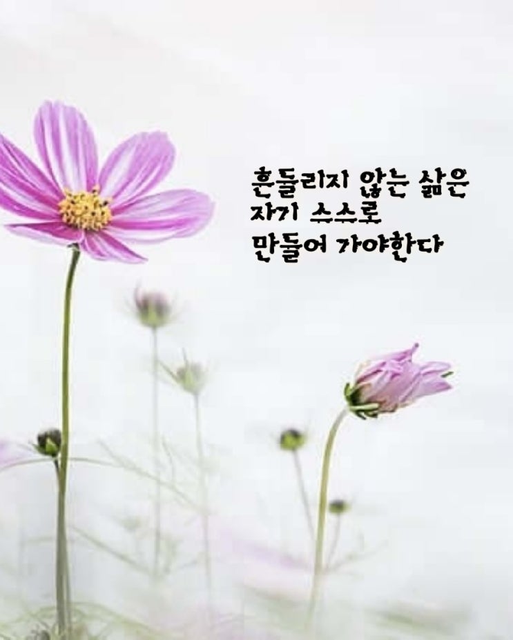  인생은, 생각에서 꽃 핀다