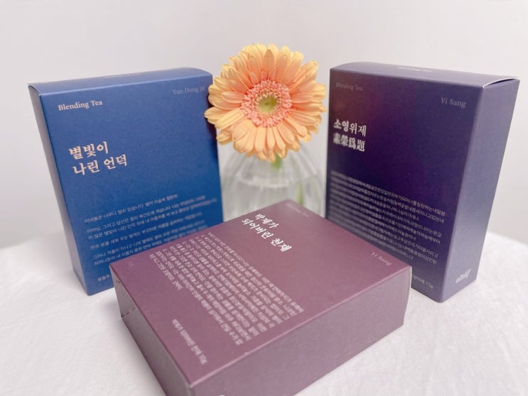  [ 문학티백 / 감성티백 ] 수색이 예쁜 차 글입다 x 알디프 문학 블렌딩티 3종 (박제가 되어버린 천재 / 소영위제 / 별빛이 나린 언덕) 후기