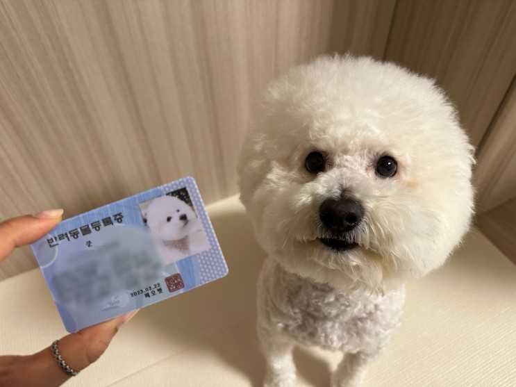 페오펫 멤버십으로 동물병원비 페이백, 강아지 쇼핑몰 할인받기