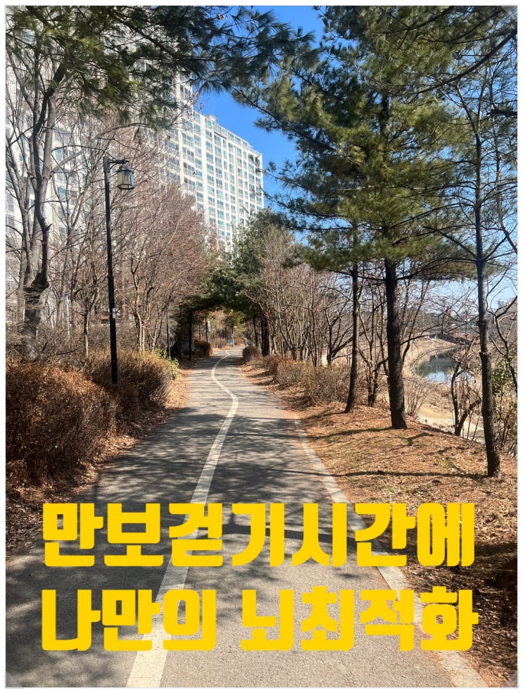  만보걷기시간에 나만의 뇌 최적화 만들기