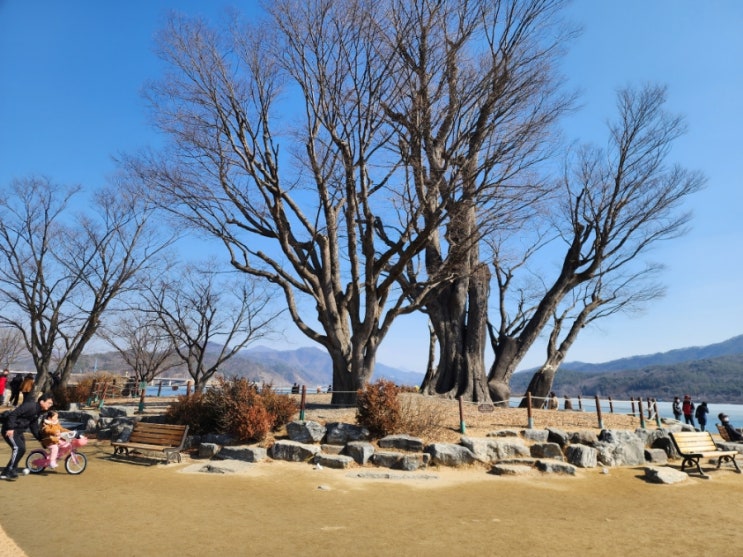  양평 두물머리 데이트코스 두물머리 연핫도그 양평가볼만한곳