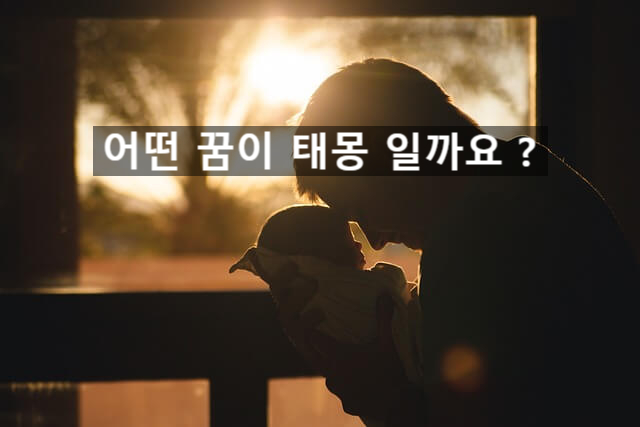  태몽은 길몽입니다. 어떤 꿈이 태몽일 가요? 우리 아이들이 어떤 꿈을 꾸고 태어났는지 궁금하지 않으세요?