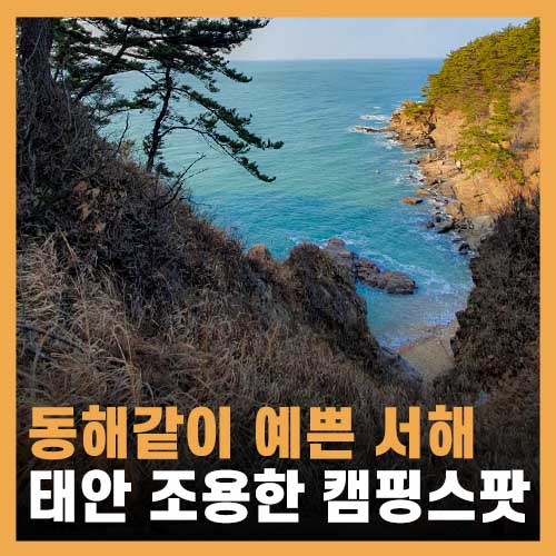  태안 글램핑 캠핑 차박 서해 해수욕장, 돌고래 상괭이