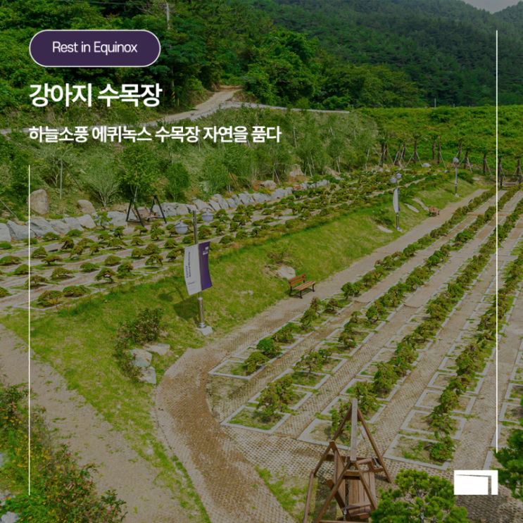  부산강아지수목장 믿을수있는 애견장례식장 하늘소풍에서
