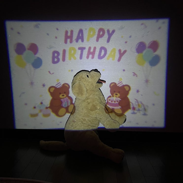  [파티용품] 생일날, 특별한 날 찰떡인 다이소 파티용 미니빔