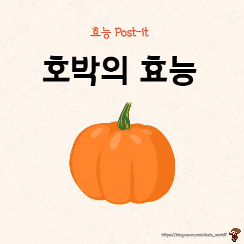  호박의 효능과 섭취 시 주의사항, 호박 알아보기 1편