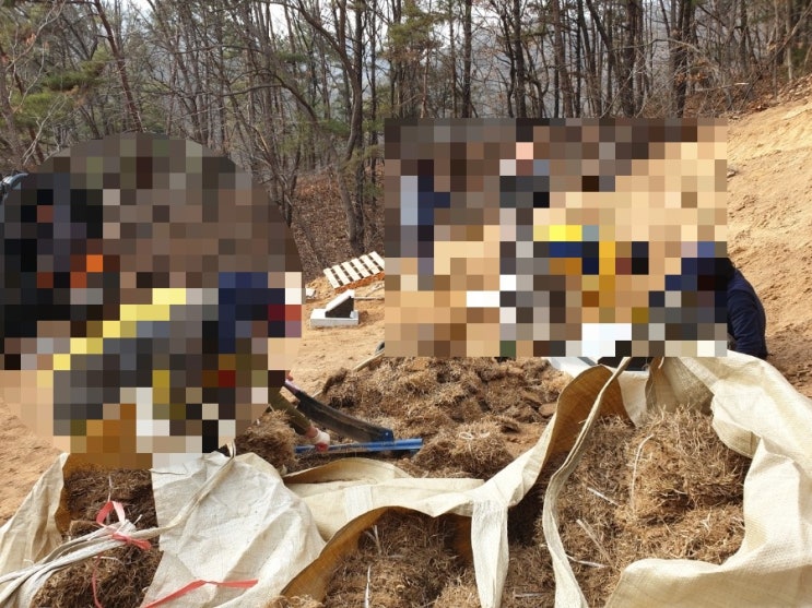  2023년 김천시 감문면 송북리산 가족묘조성 와비 자판 잔디조성 김천고인돌장의사 #2023년윤달 #김천윤달이장 #김천윤달화장 #윤달 #김천장의사