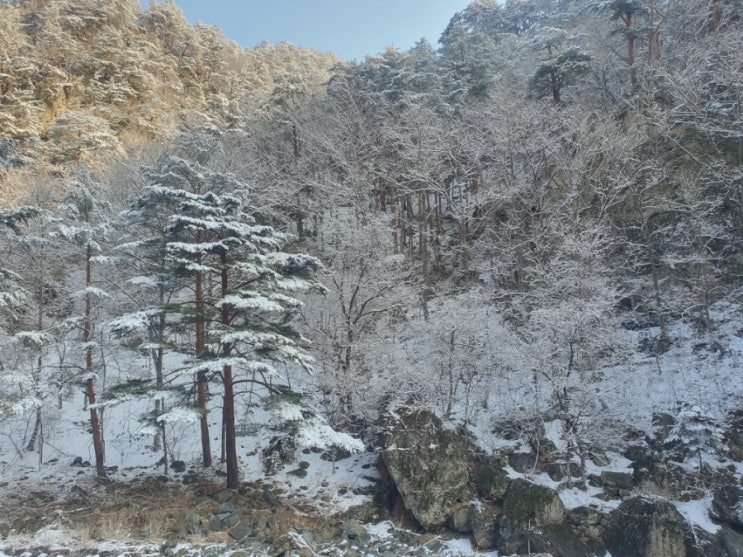 산꾼의 울진으로 1박2일 여행 울진 가볼만한곳과 봄과 겨울의 조화