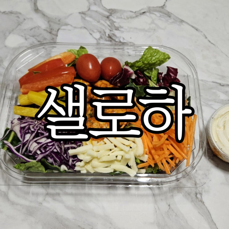  창원샐러드 새벽 배송되는 정기배송 샐러드 맛집 샐로하(saloha)