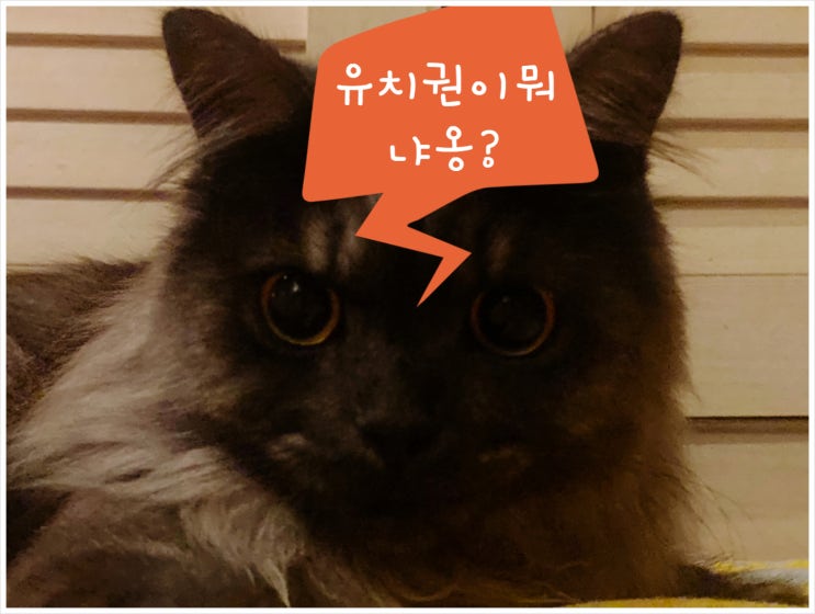  부동산 유치권 행사 뜻을  어려워하지 마세요