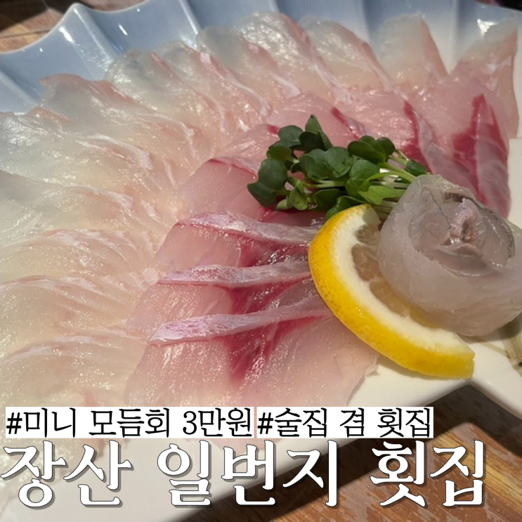  해운대 장산 술집:회 간단히 먹으며 술 마시기 좋은 "일번지횟집"