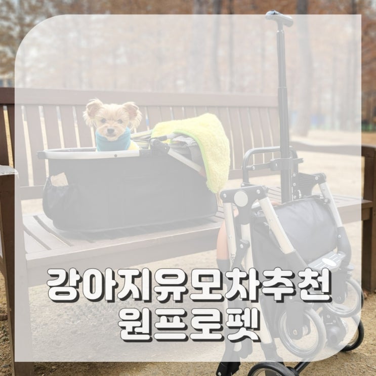 노견 개모차 후기 원프로펫 강아지 애견유모차 추천 이유