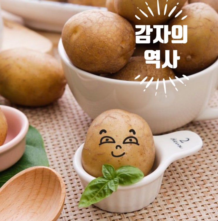  감자의 역사! 대륙별 전파 시기와 현재 위치