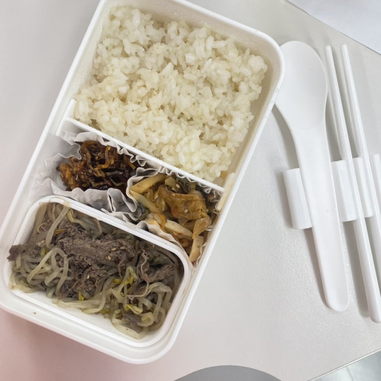 직장인 점심 도시락통 “코누(konu)” 일본풍 디자인 내돈내산 추천