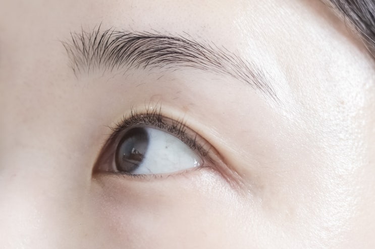 디디다 속눈썹고데기 5분 메이크업 될까