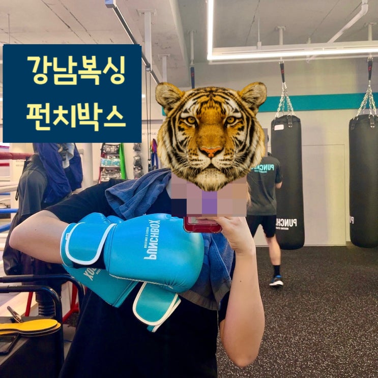  강남복싱 펀치박스 복싱에서 스트레스 날려버리기