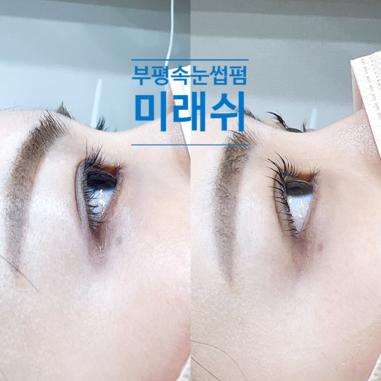  부평속눈썹펌 미래쉬에서 틴트펌 하고 왔어요!