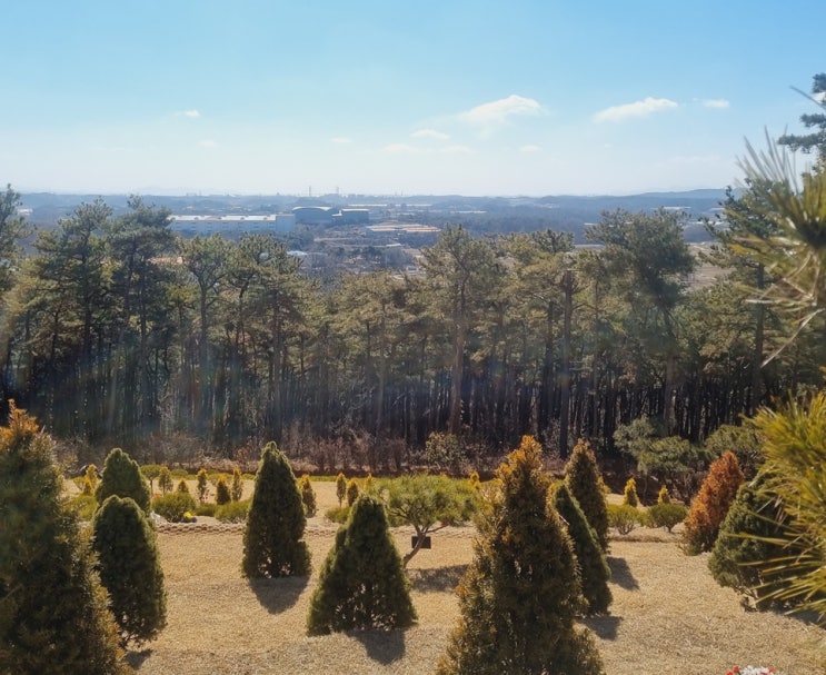  수목장 이장 시 필수 서류 보자