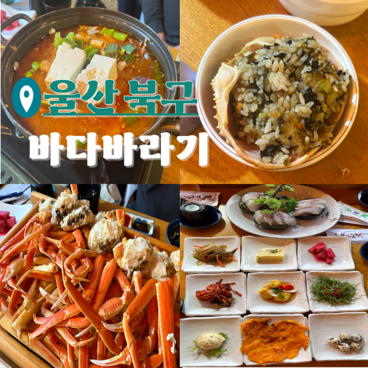  울산 북구 맛집 대게, 회가 맛있는 바다바라기