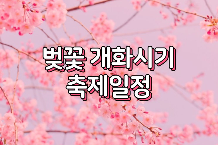  2023 이른 포근함으로 벚꽃 개화/만개시기와 축제일정