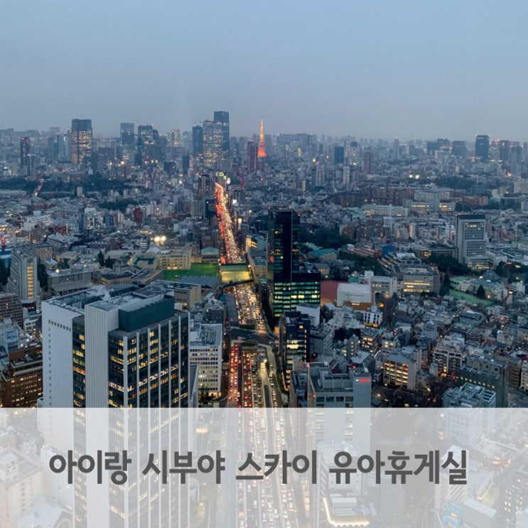  아이랑 도쿄여행 시부야 스카이 방문 시간대 추천 유아휴게실
