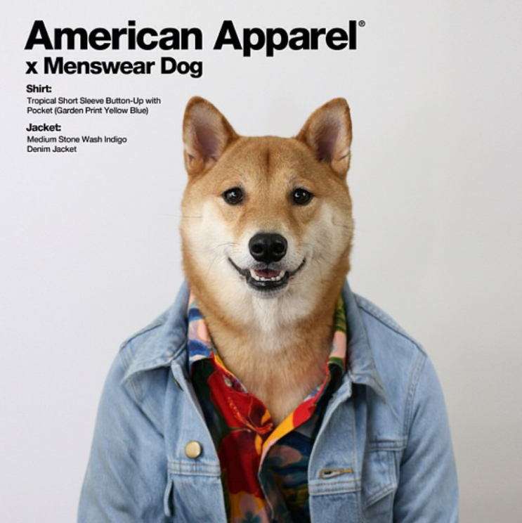 상식과 비상식을 섞어라 : 세상에서 가장 쉬운 차별화 공식, 슈프림, MENSWEAR DOG, 후지와라 히로시의 콘비니, 러쉬, POPEYE