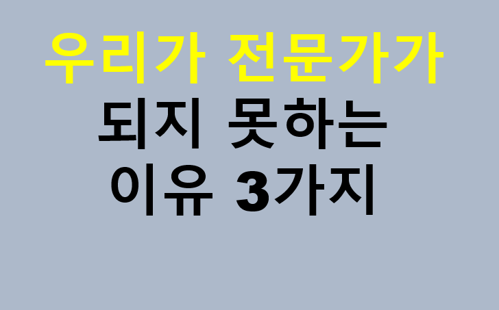 우리가 전문가가 되지 못하는 이유 3가지