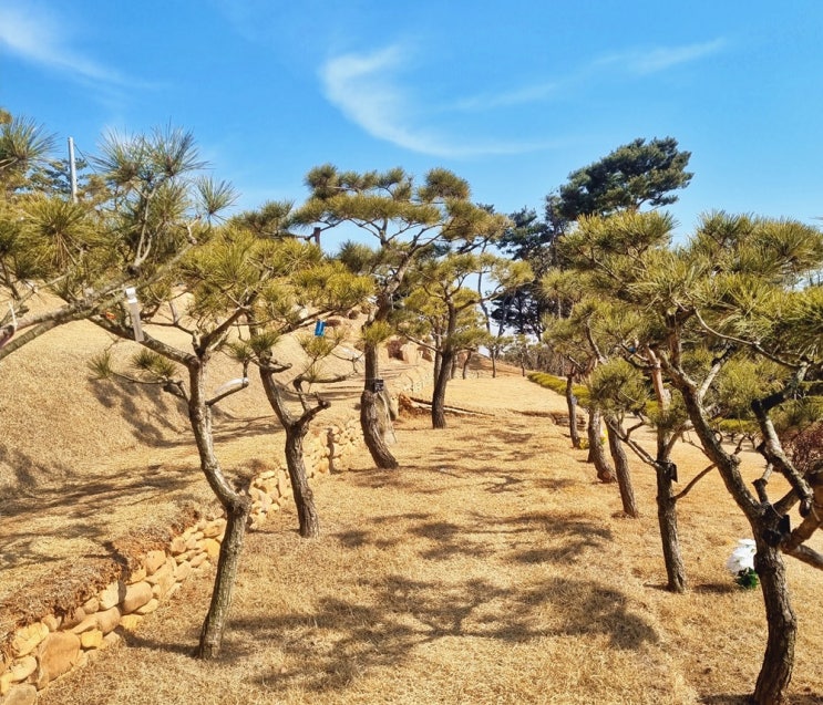  수목장 이용 시 필요 서류입니다