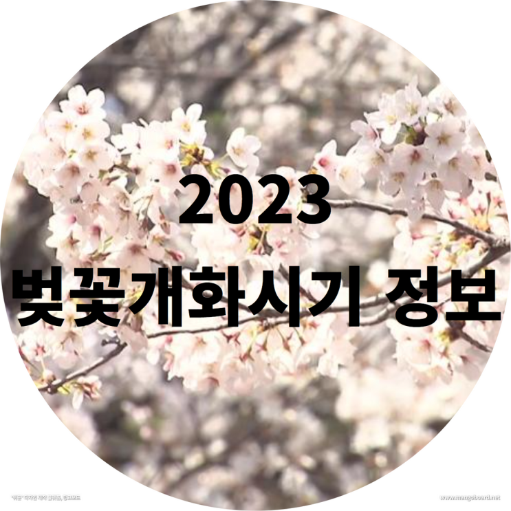 2023 벚꽃개화시기 정보 ( feat . 2023진해군항제기본정보 , 진해벚꽃축제 )