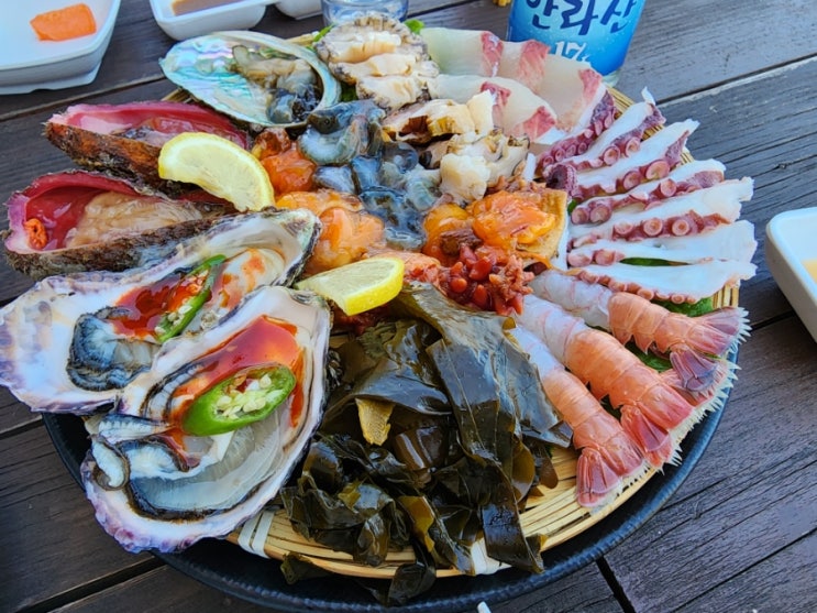  제주도 서귀포맛집 싱싱한 해물, 멋진 오션뷰 애견동반식당 성산 온평바다한그릇 내돈내산 찐후기