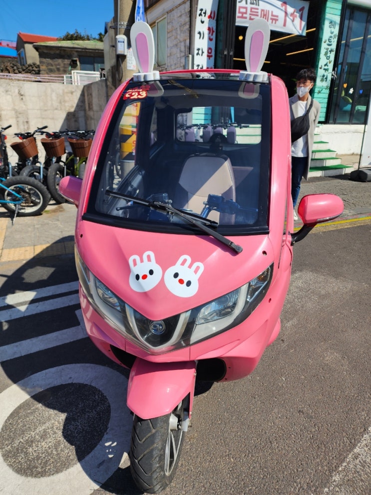  제주도애견동반여행 우도 전기차 가격 예약 면허 나이 정보 공유! 우도 더블유 전기차 후기 우도가볼만한곳