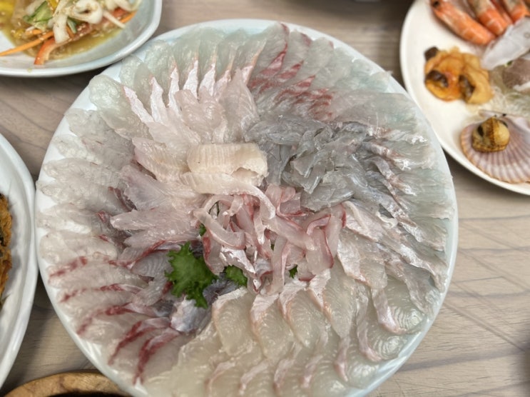  평거동 어촌횟집 해물모듬과 쫄깃한 모듬회 한상!