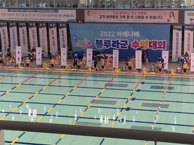 아레나배 블루라군 수영대회 / <b>고양 체육관</b> 실내수영장 / 초등... 