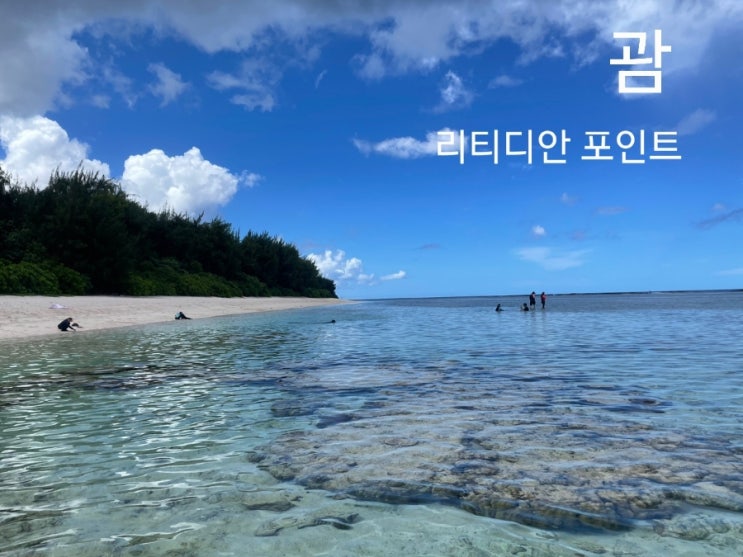  [괌 자유여행] 너무 예쁜 리티디안 포인트 (괌 스노클링, 물고기 많은 깨끗한 바다)