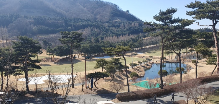 [중원 GC/ 바람이 멈춘 중원골프클럽 날씨도 화창하여 페어웨이는 벌써 봄을 준비 중] 중원 CC  중원골프클럽 중원 GC 주변 맛집