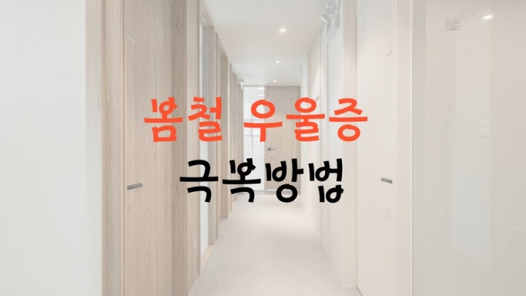 봄철 우울증의 심리적 원인과 자세한 극복방법 제안 feat. 인천심리상담센터 봄철 우울증의 심리적 원인과 자세한 극복방법 제안 feat. 인천심리상담센터